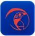 Macaw